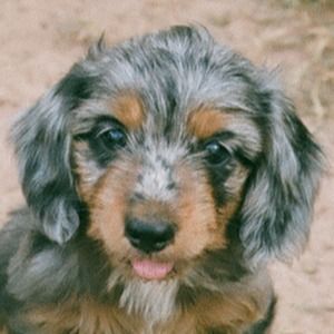 Meet your Posher, Calee